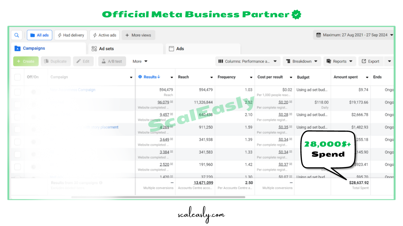 ScalEasly Revenue Results